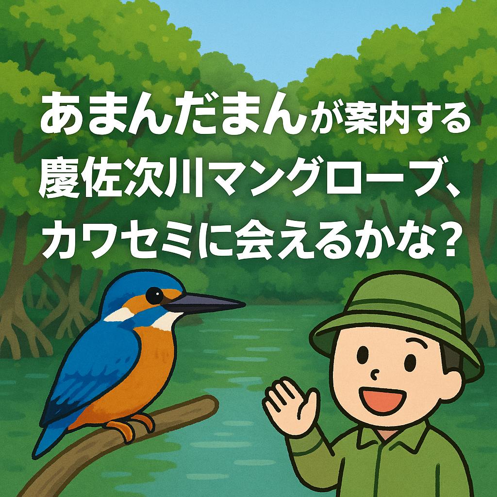 あまんだまんが案内する慶佐次川マングローブ、カワセミに会えるかな？